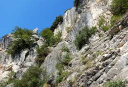 108b North Italy. Climbing in Arco (Jul. 2023).JPG
