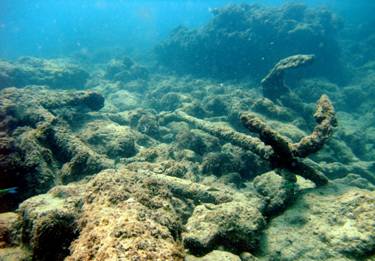 37A Diving in Caesarea (June 2016).JPG