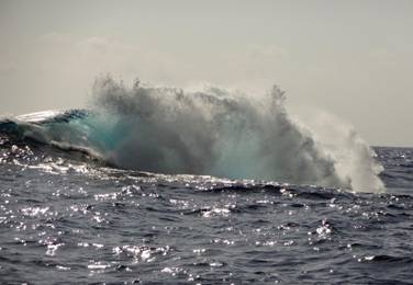 33A Diving on Reunion (Sep. 2013).JPG