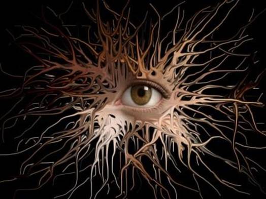 01 nervous system.jpg
