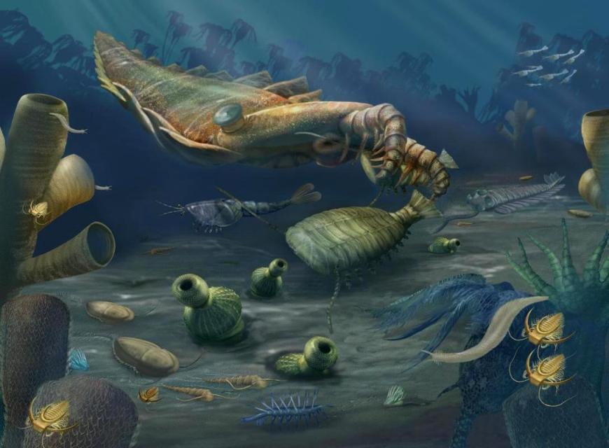 14 Cambrian (Burgess Shalew).jpg