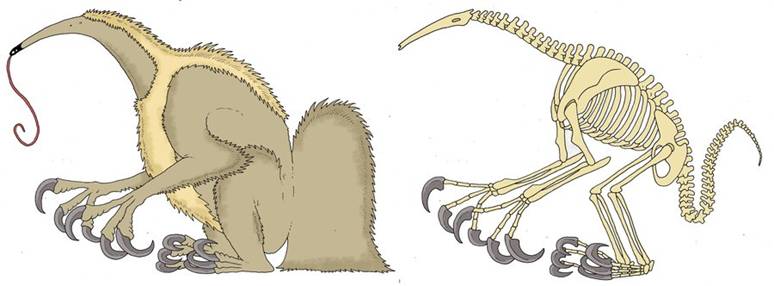 06 Deinocheirus muravied.jpg