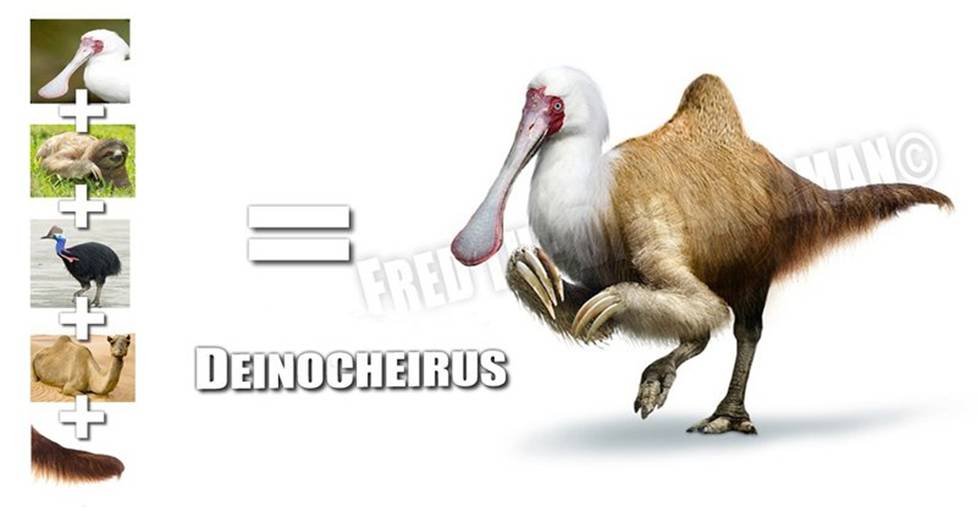 11 deinocheirus - chimera.jpg