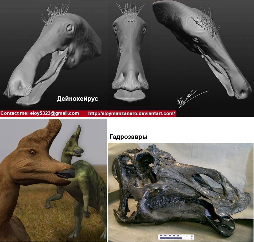 17 Heads of hadrosaurus & Deinocheirus.JPG