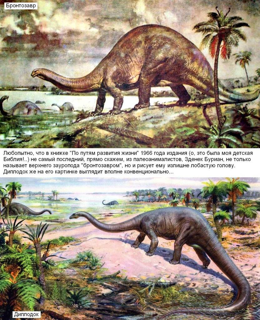 5 Burian - brontosaur.jpg