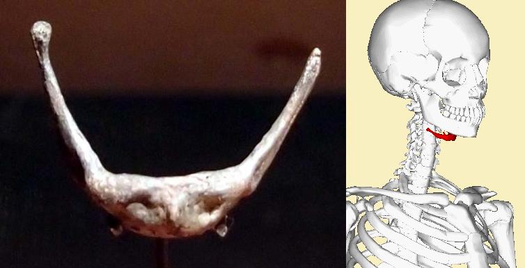 63 Kebara cave - neanderthal hyoid bone.JPG