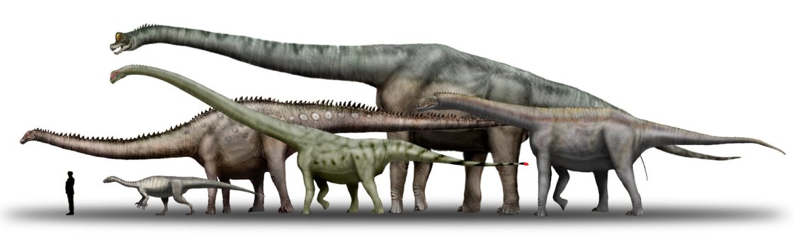 000a Sauropods.jpg