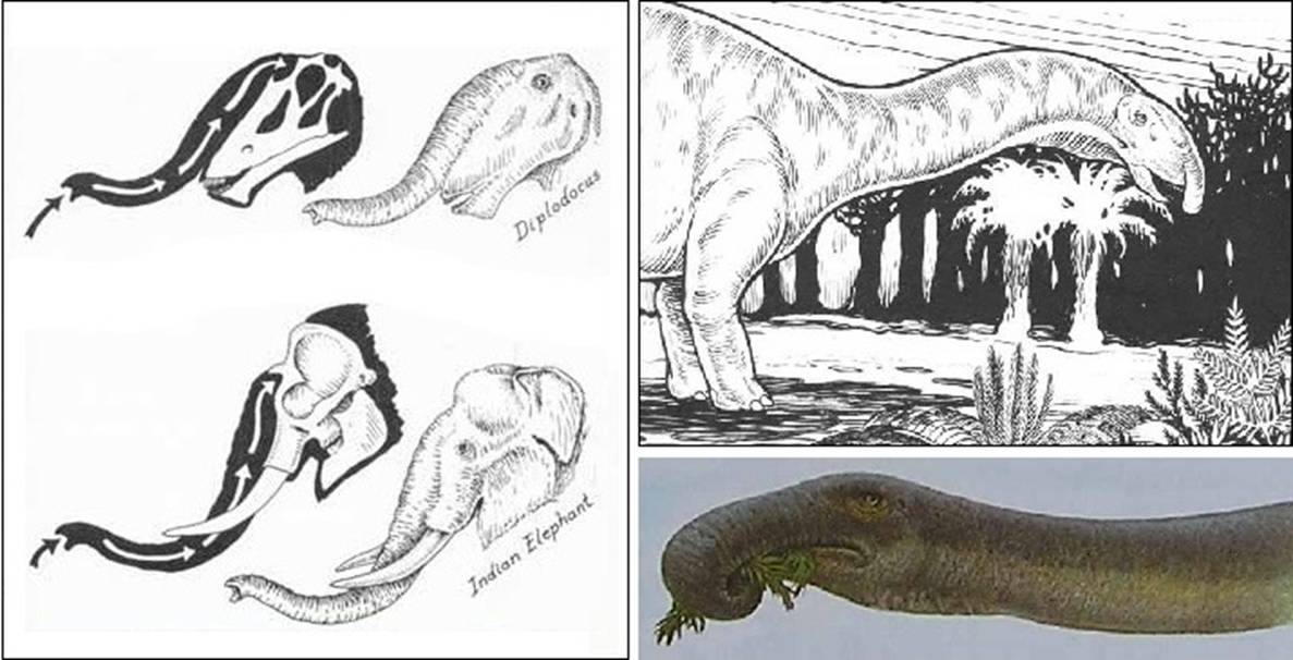 005 Bakker-Munns-trunked-sauropod.jpg